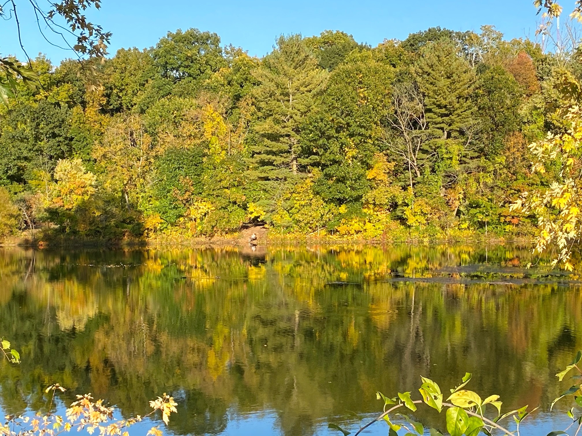 Someone enjoying some peace and sun yesterday at the Farmington River at Fisher Meadows in Avon.
Kris Mach<br />
Southington
Sent from my iPhone 📱