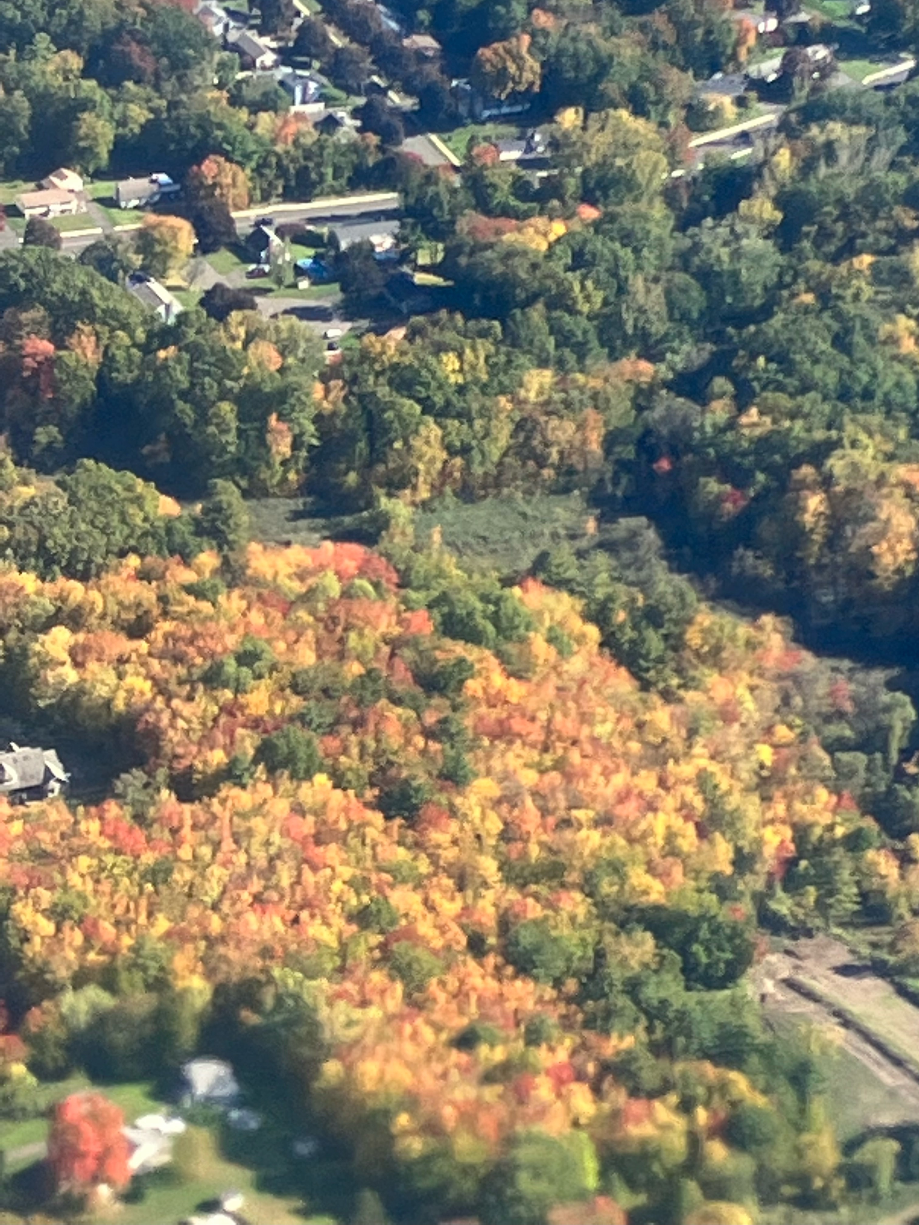 Fall color from Bradley Airport. Photo by Jan Fox