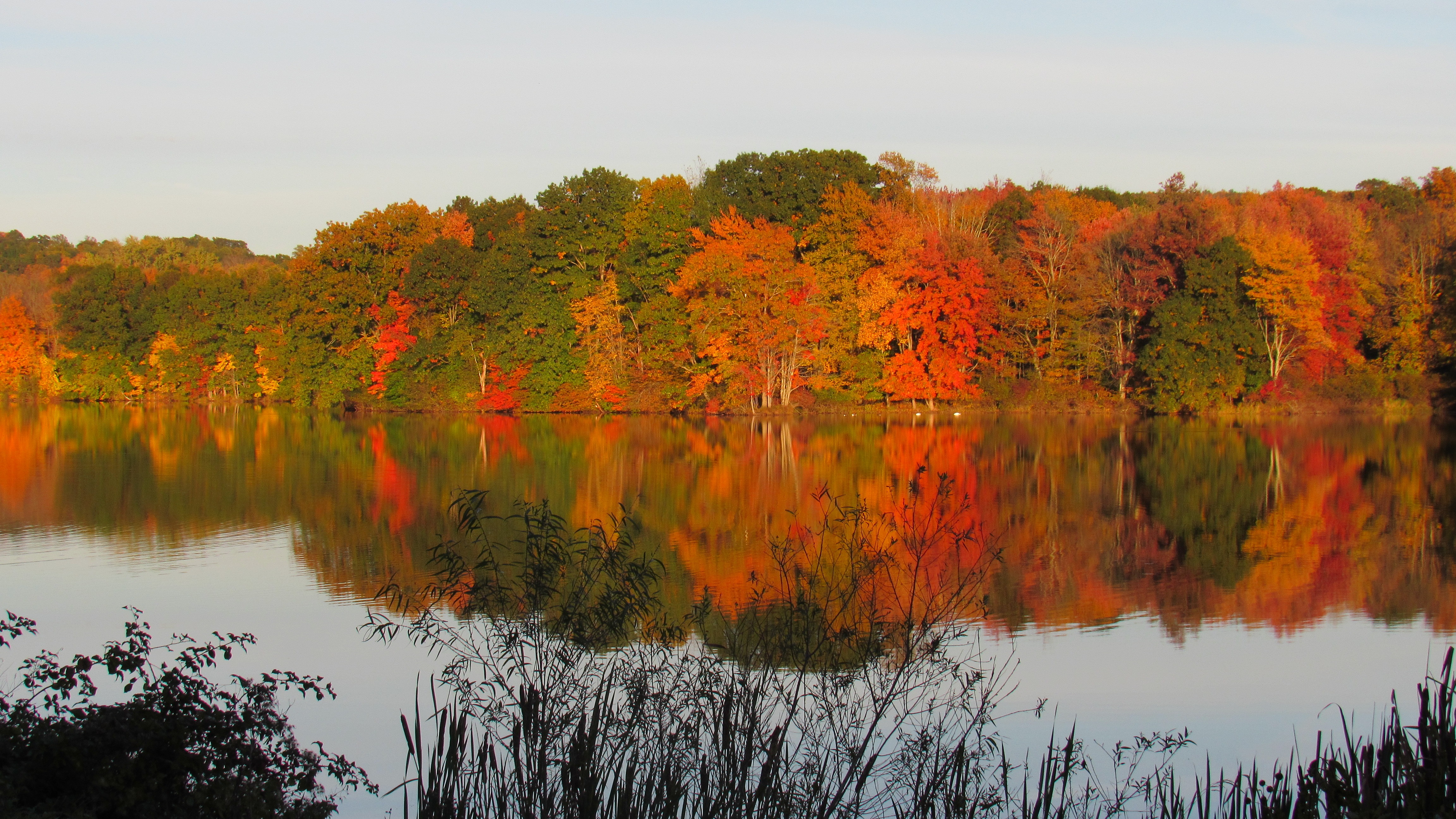 [tint-NBC_Connecticut] Autumn in Wallingford