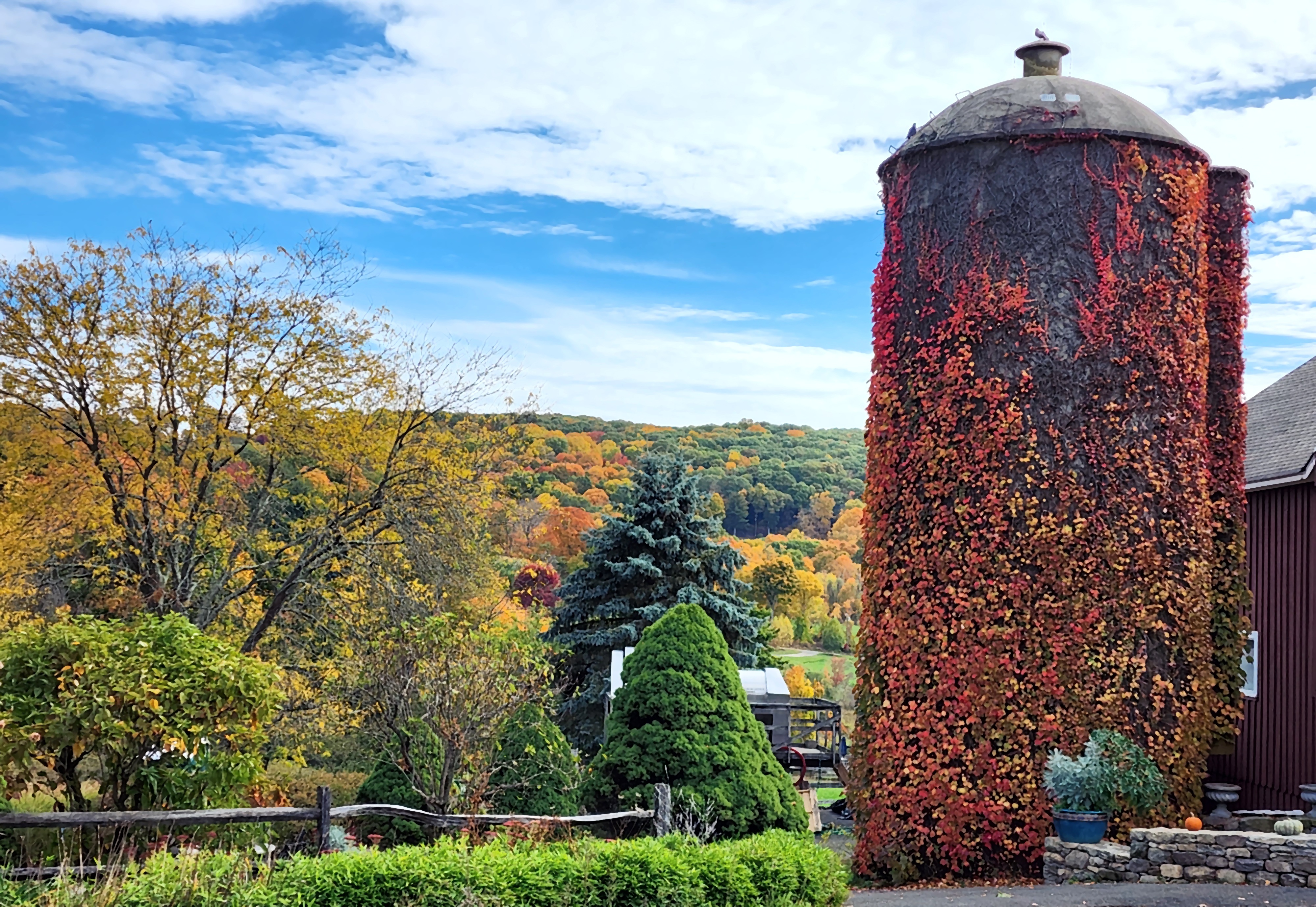 Here are a few pictures I took in CT this past Sunday around Lake Waramaug.
Belinda Fukano