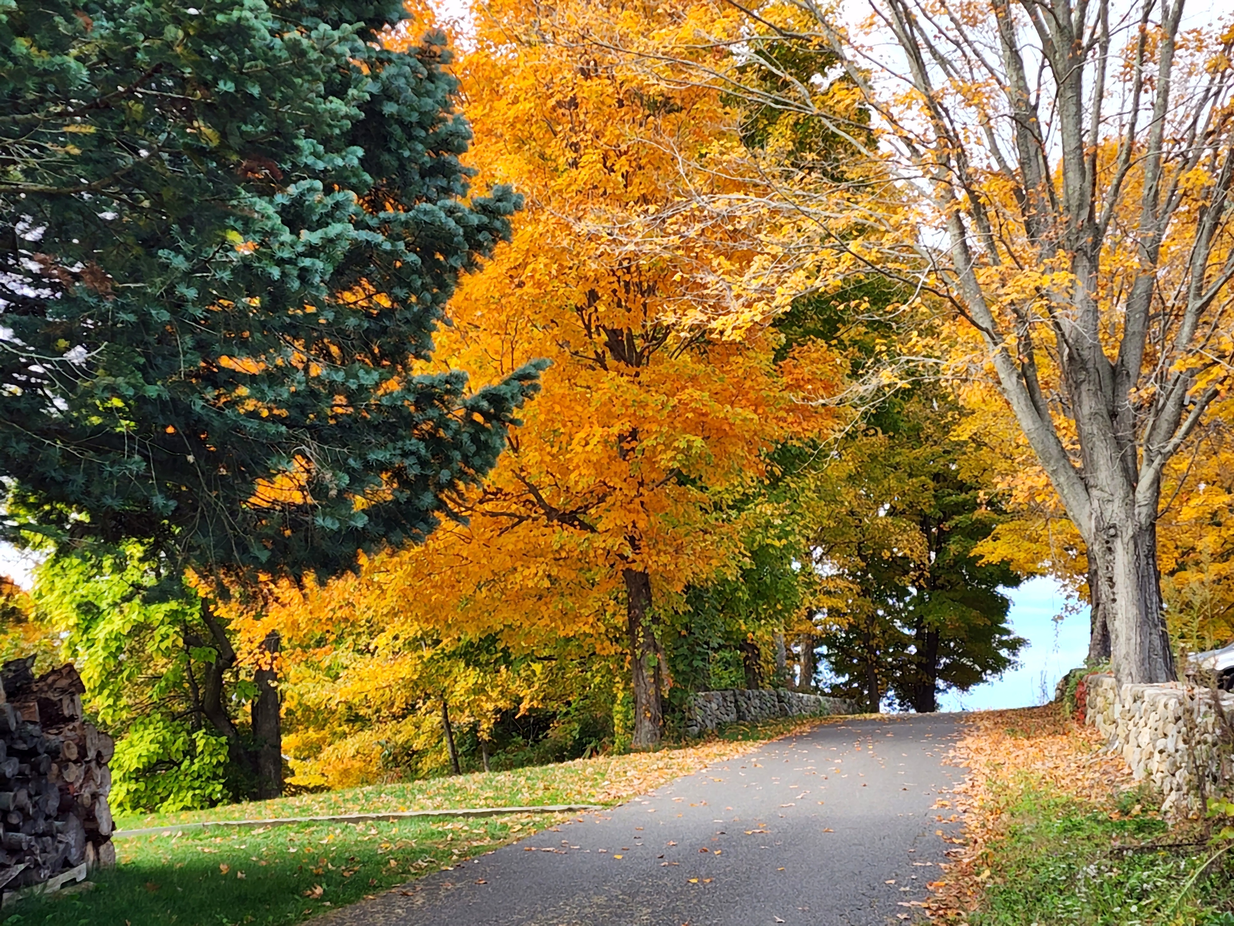 Here are a few pictures I took in CT this past Sunday around Lake Waramaug.
Belinda Fukano