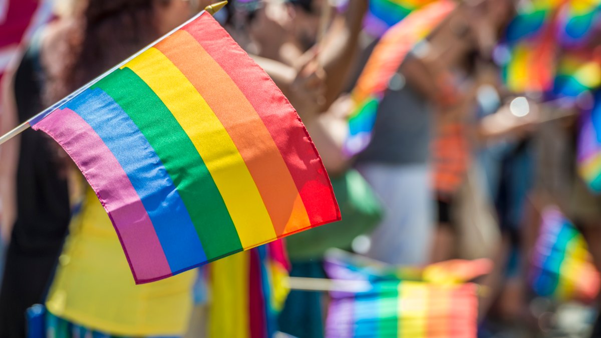 National Coming Out Day 2023: What is it and how to celebrate – NBC Connecticut - Vimarsana News