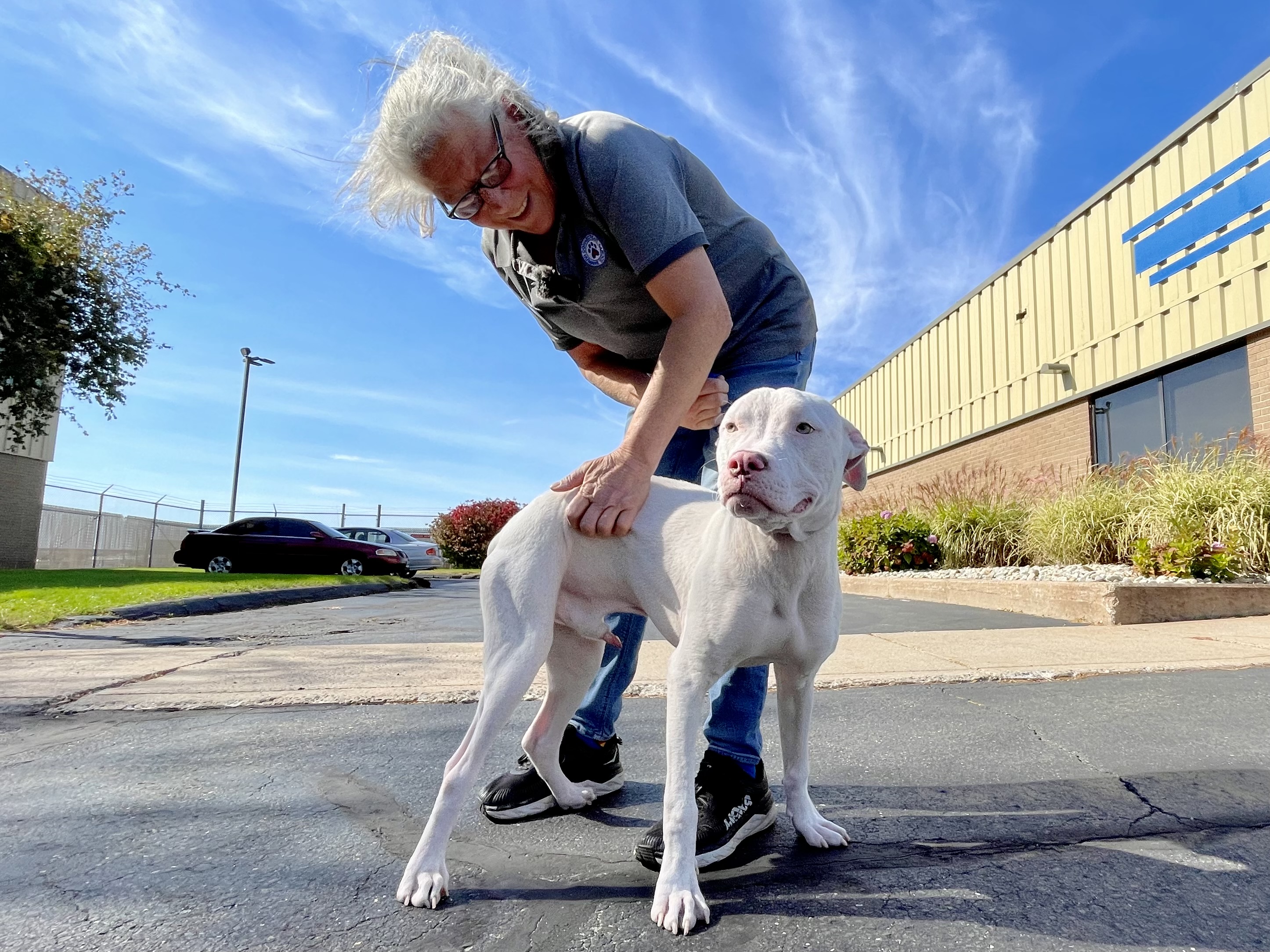 New Haven police promote pet adoption on National Puppy Day