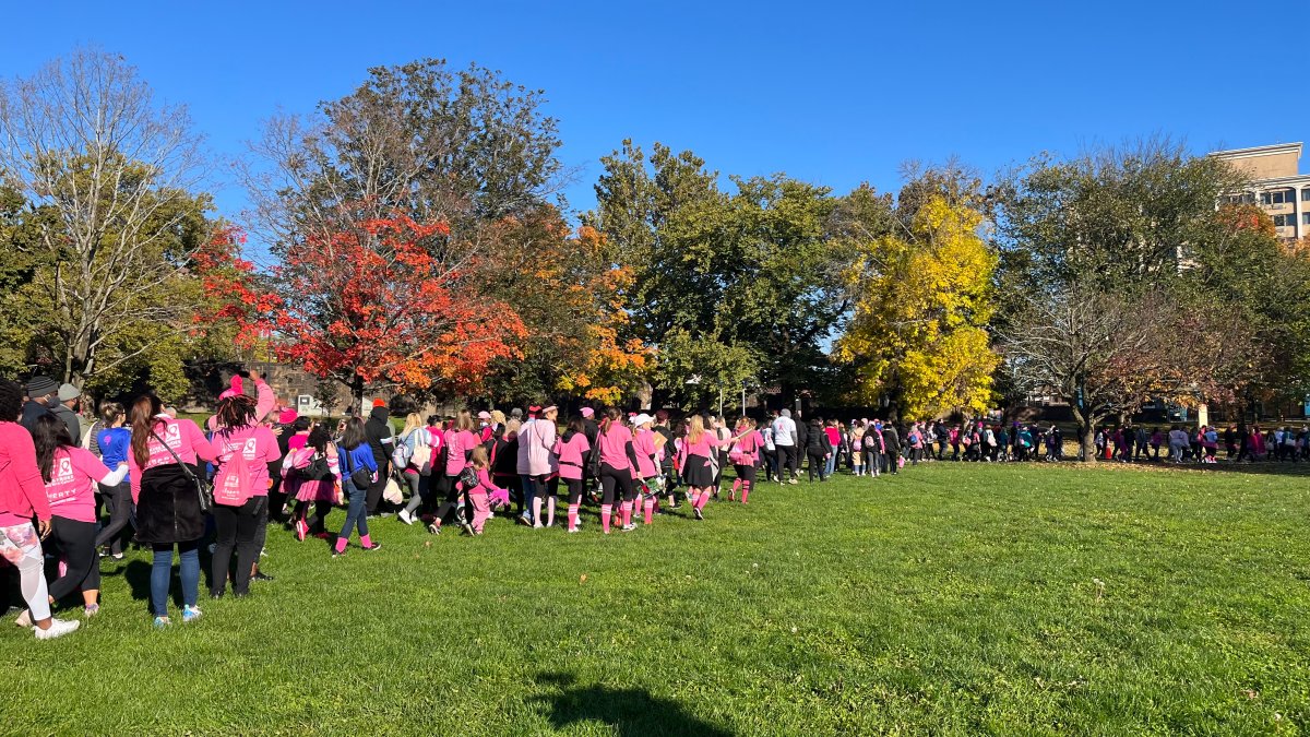 Hundreds Impacted by Breast Cancer Participate in 'More Than Pink Walk' in Hartford – NBC Connecticut - Vimarsana News