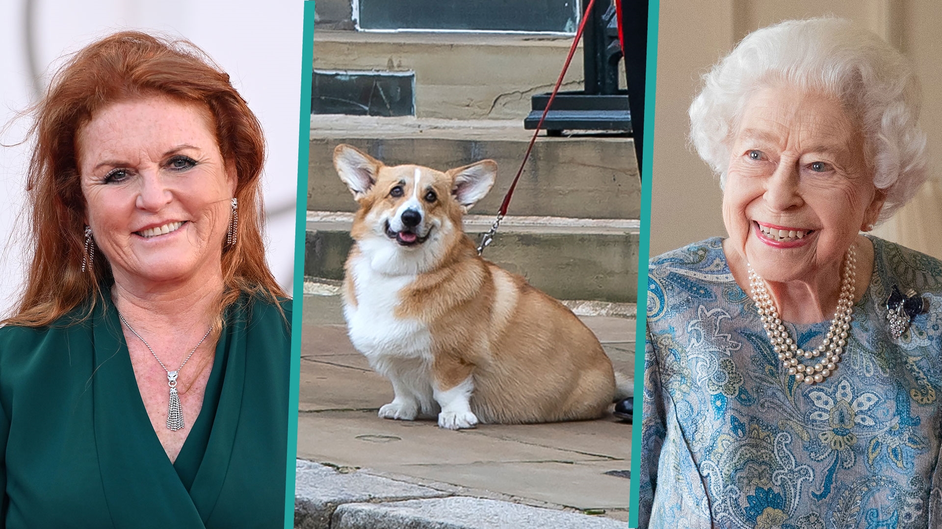 Sarah Ferguson shares update on Queen Elizabeth's corgis, says