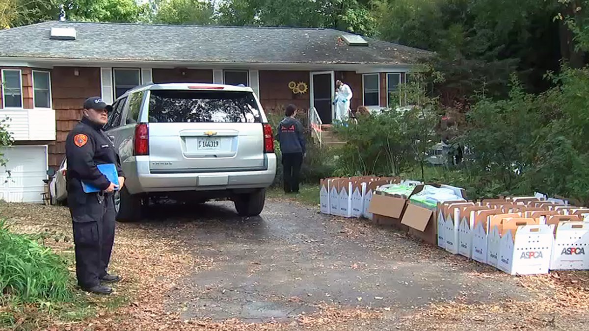 Long Island Animal House: Miller Place Home Overrun, ASPCA Says – NBC Connecticut - Vimarsana News
