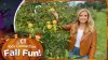 Kids Connection “Fall Fun” – Apple Picking and More at Johnny Appleseed's Farm