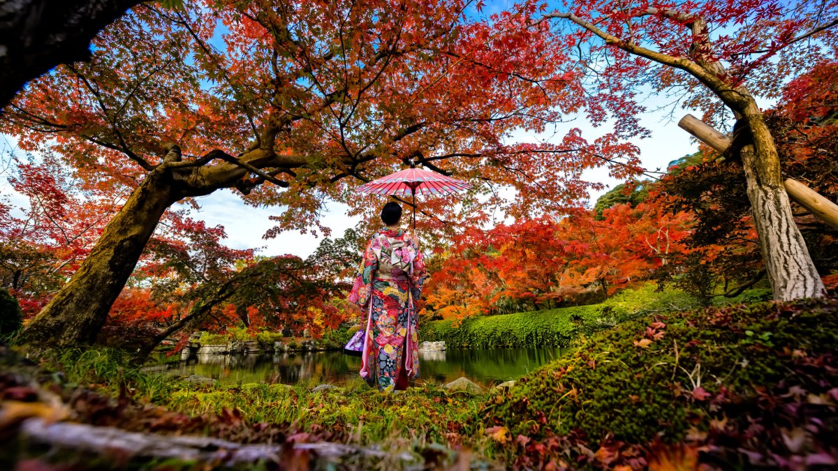 Hoping to Beat the Tourist Crowd on Your Trip to Japan? That Ship Has Sailed - Vimarsana News