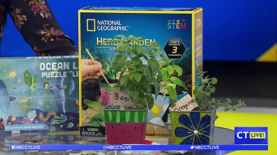 CT LIVE!: Screen-Free Learning