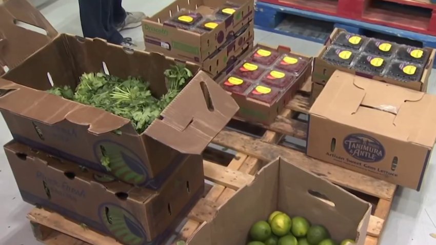 Foodshare Begins Annual Turkey Drive
