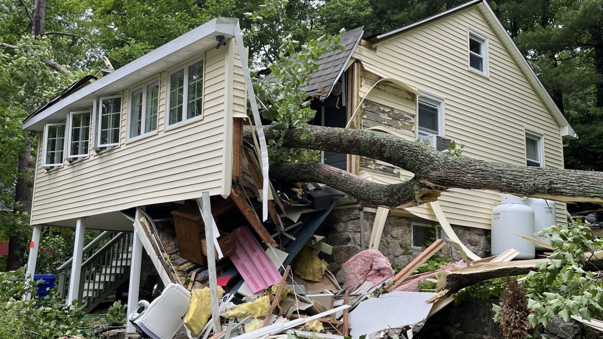 A Homeowner's Nightmare: Deserted Coventry Land Causing Problems for Neighbor - Vimarsana News