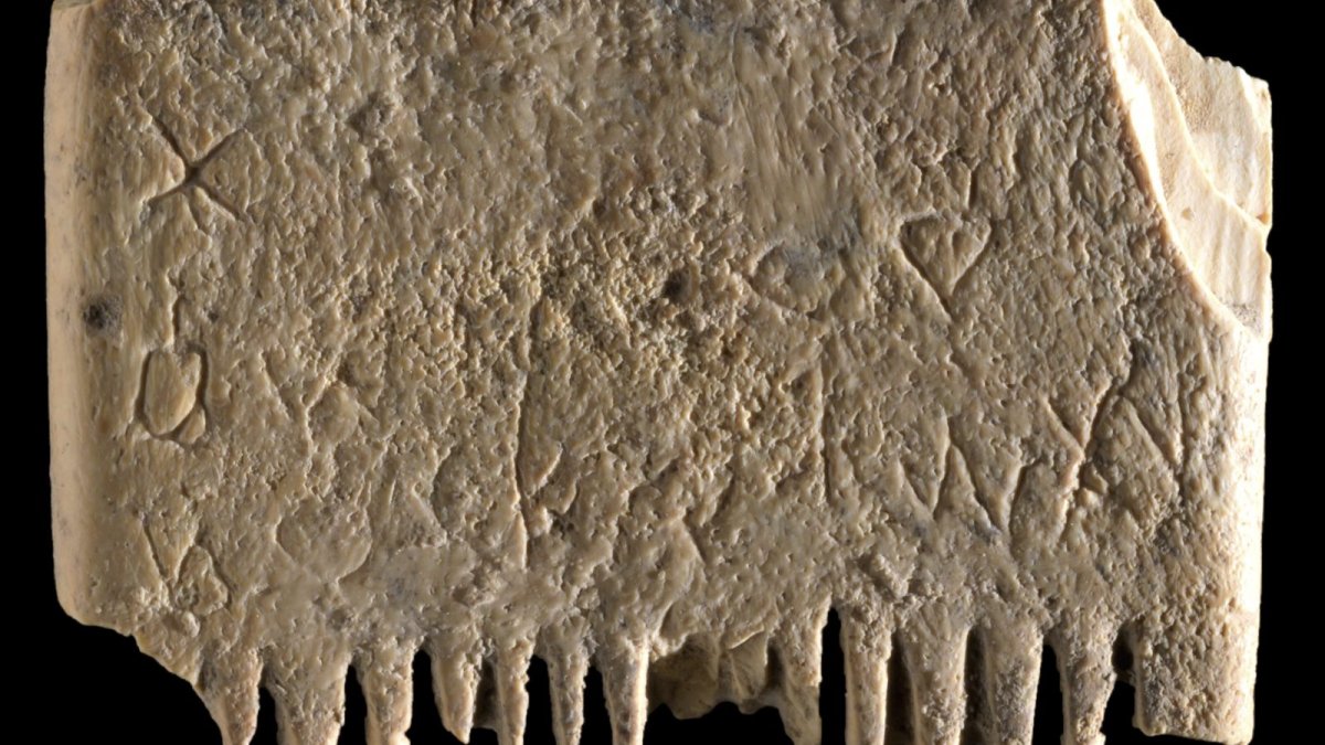 Archaeologists in Israel Find Ancient Comb With an Important Message About Lice – NBC Connecticut - Vimarsana News