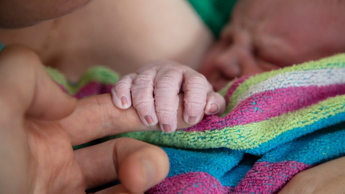 Home Births Increased in the US During COVID-19, Data Shows – NBC Connecticut - Vimarsana News
