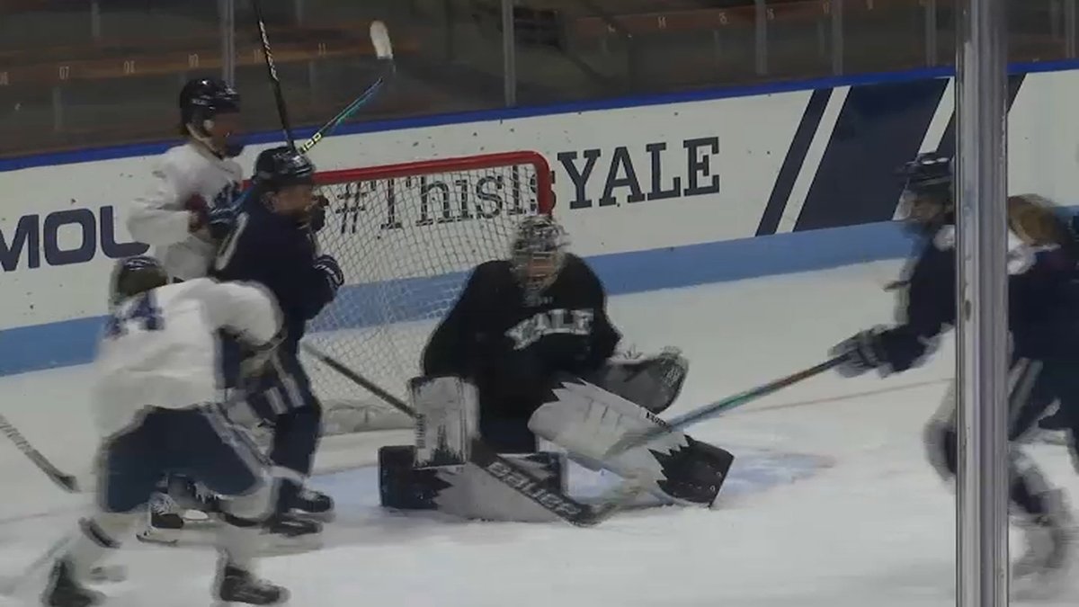 Yale Women's Hockey Aims to Top Historic Season - Vimarsana News