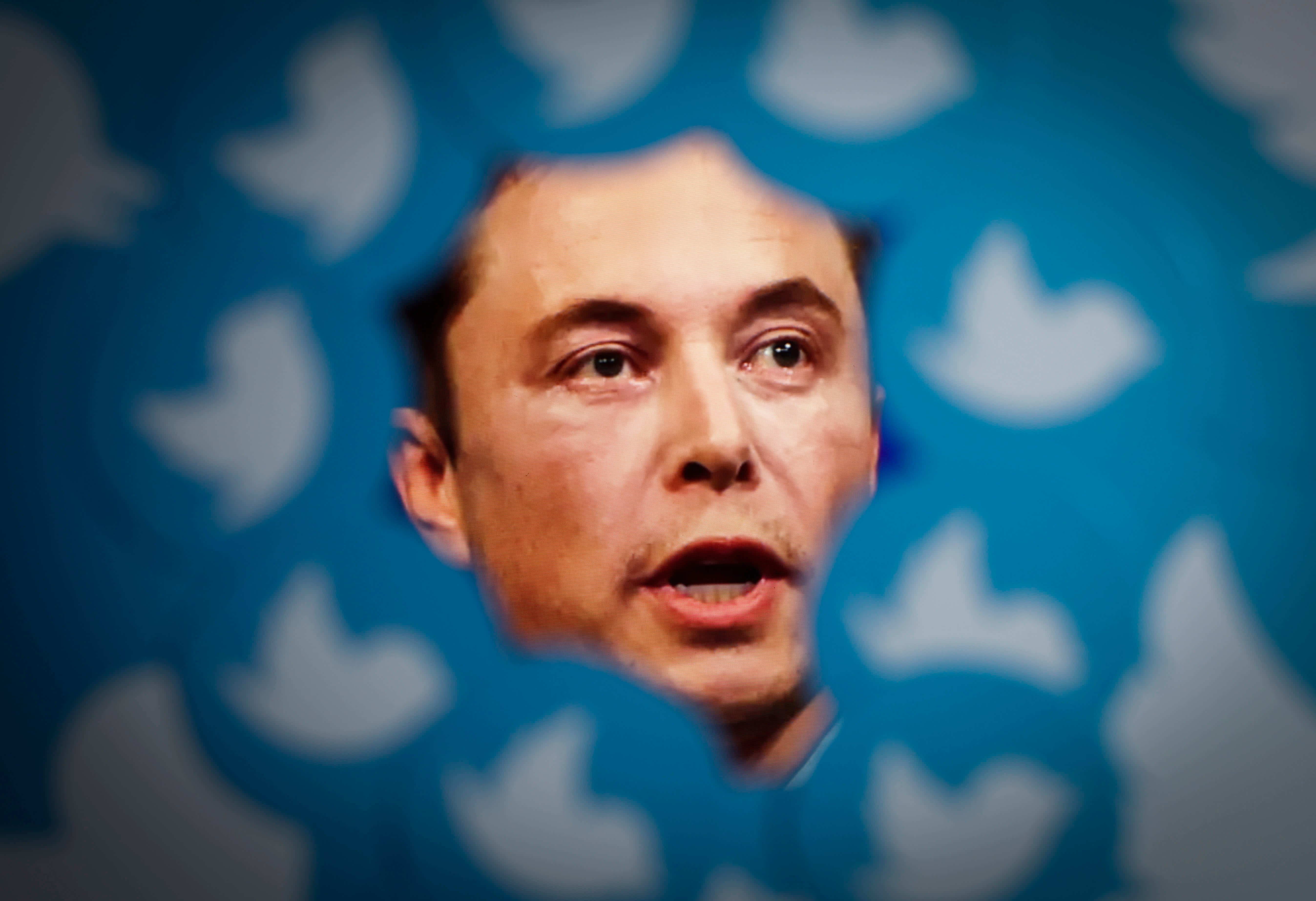 SpaceX, Tesla, and Boring Company Execs Are Helping Elon Musk at Twitter, Records Reveal - Vimarsana News