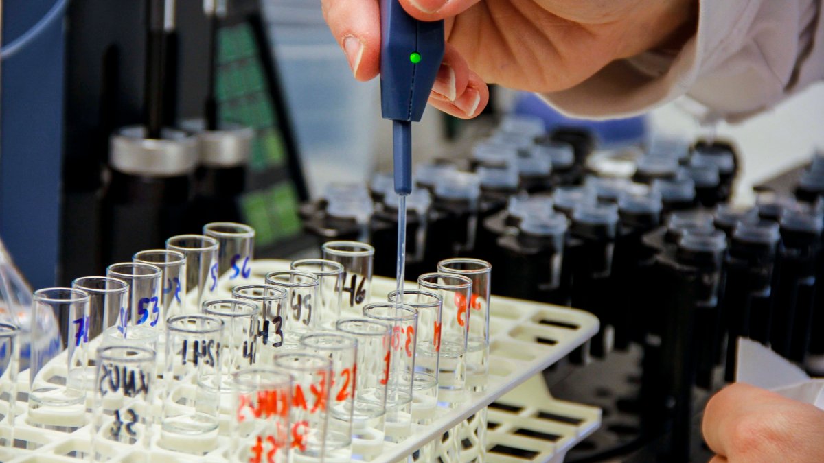 Bioscience Firms Novozymes and Chr. Hansen to Merge in Biggest-Ever Danish Deal - Vimarsana News