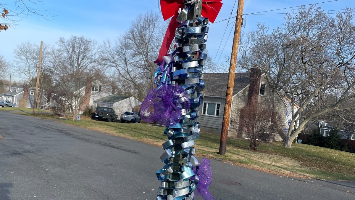 As Milford Remembers Mom, Advocates Plan Domestic Violence Victim Support in Legislature - Vimarsana News