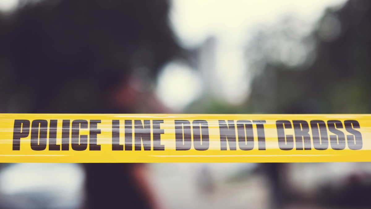 7-Year-Old Girl Mauled to Death by Neighbor's Pit Bull in Louisiana – NBC Connecticut - Vimarsana News
