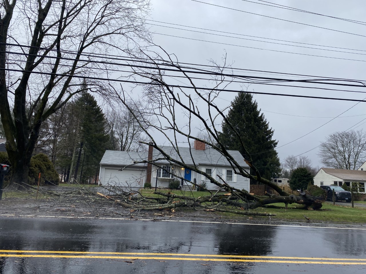 A tree down in a front yard in Plainville.