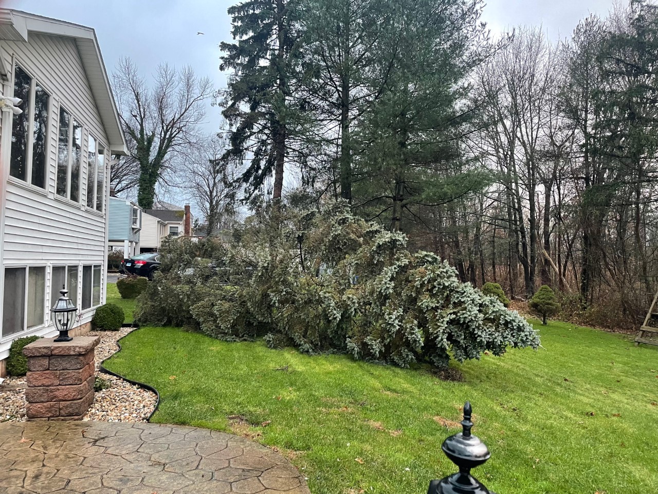 A tree fallen in a yard on Gaylord Drive in Rocky Hill.