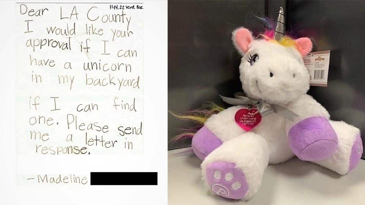LA County Grants Girl's Handwritten Request to License Unicorn – NBC Connecticut - Vimarsana News