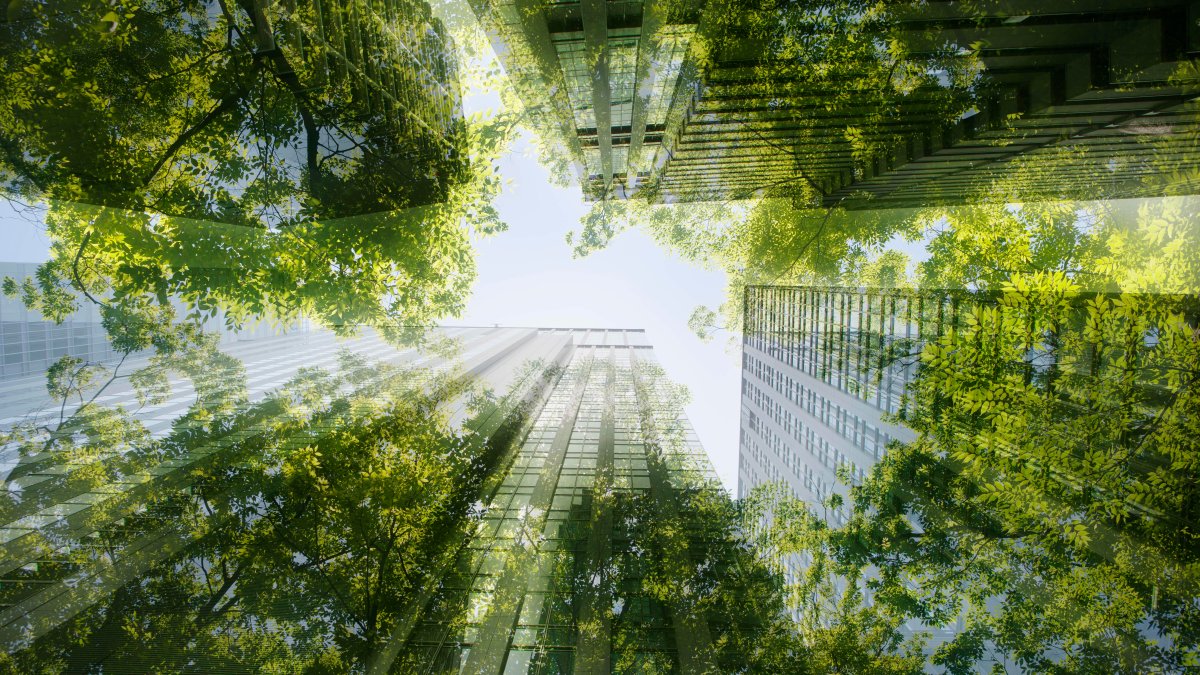 'Green' Offices in London Are Over 25% More Expensive. But a Modern Workforce Now Expects It – NBC Connecticut - Vimarsana News