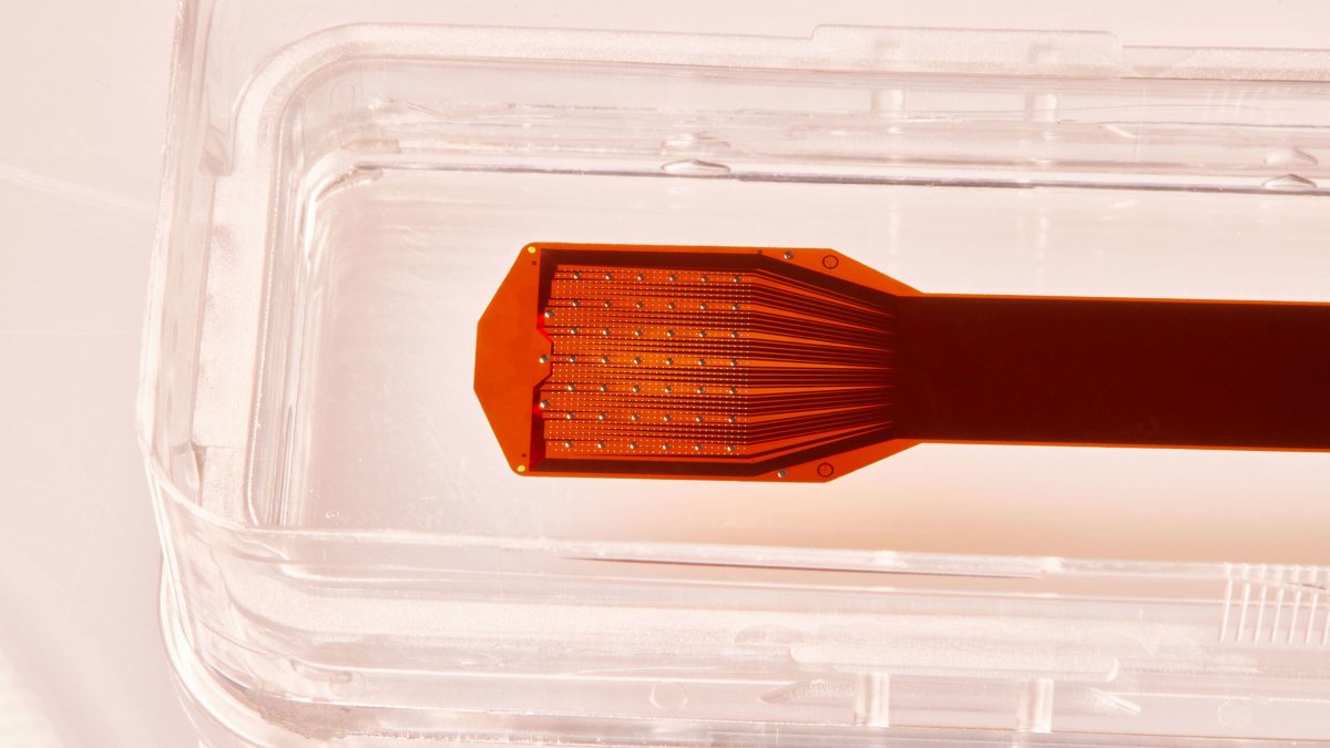 Precision Neuroscience, Co-Founded by Neuralink Alum, Is Creating a Brain Implant Thinner Than a Human Hair - Vimarsana News
