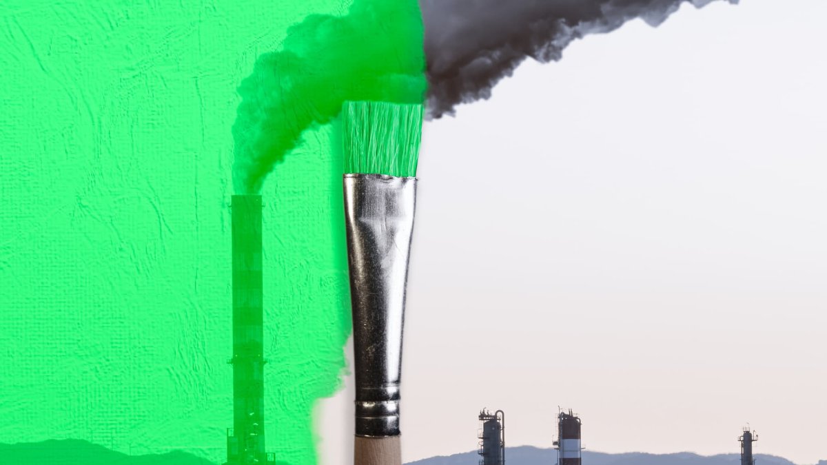 Travel Companies Are 'Greenwashing' — Here Are 3 Ways to Find Ones That Aren't – NBC Connecticut - Vimarsana News