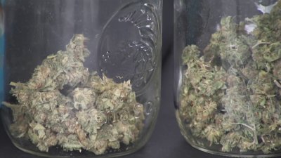Officials Urge People to Be Responsible With Cannabis Around Kids