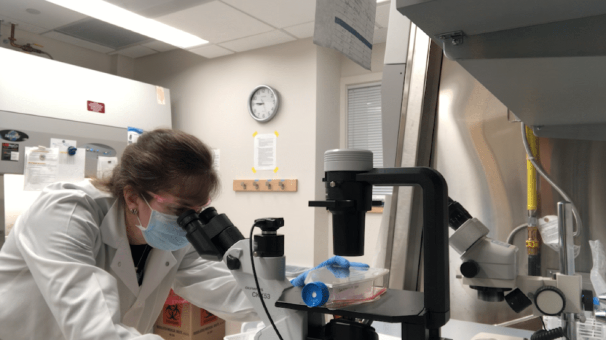 Nasal Swabs Could Help Identify Emerging Viruses, Yale Researchers Say - Vimarsana News