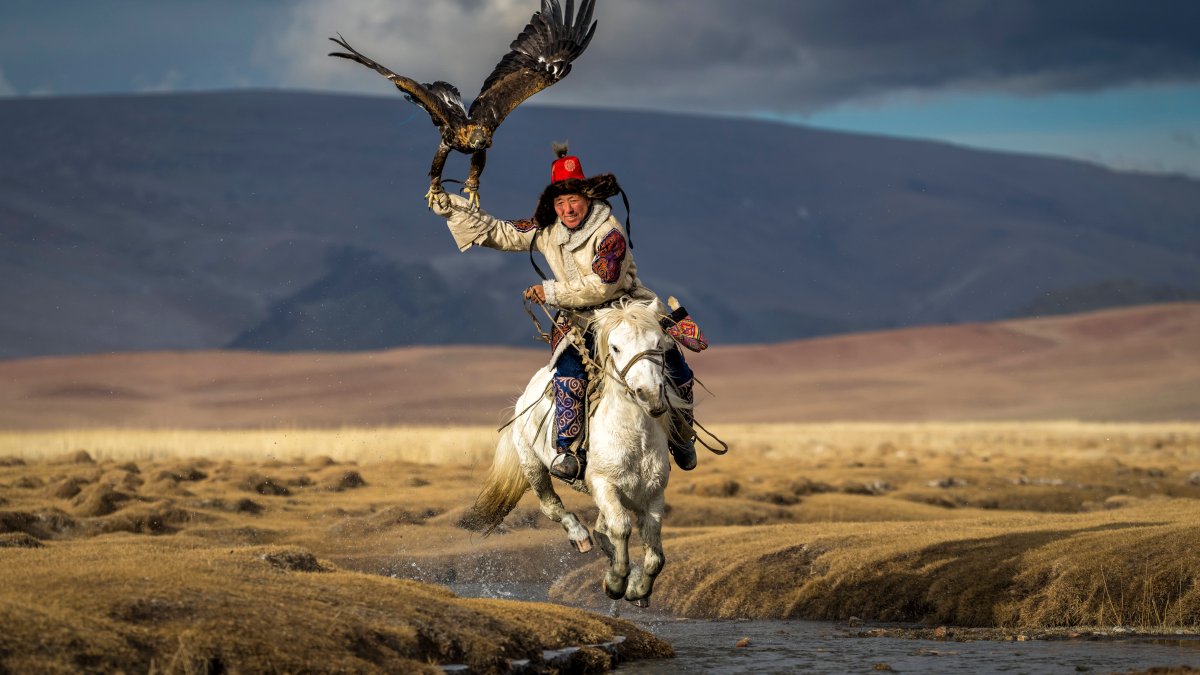 See the Photos That Won National Geographic's 'Pictures of the Year' Contest – NBC Connecticut - Vimarsana News