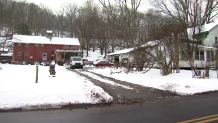 Nearly 100 sheep were seized at a farm on Lopus Road in Beacon Falls.