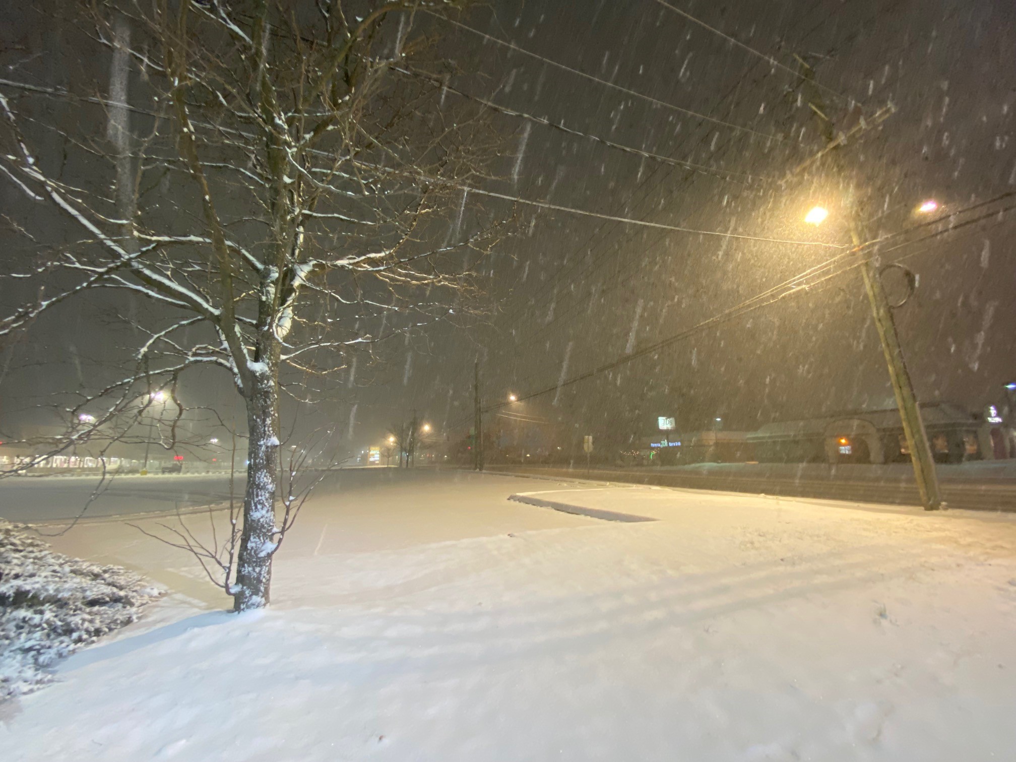 Winter Storm To Bring 4-10 Inches Of Snow To CT – NBC Connecticut