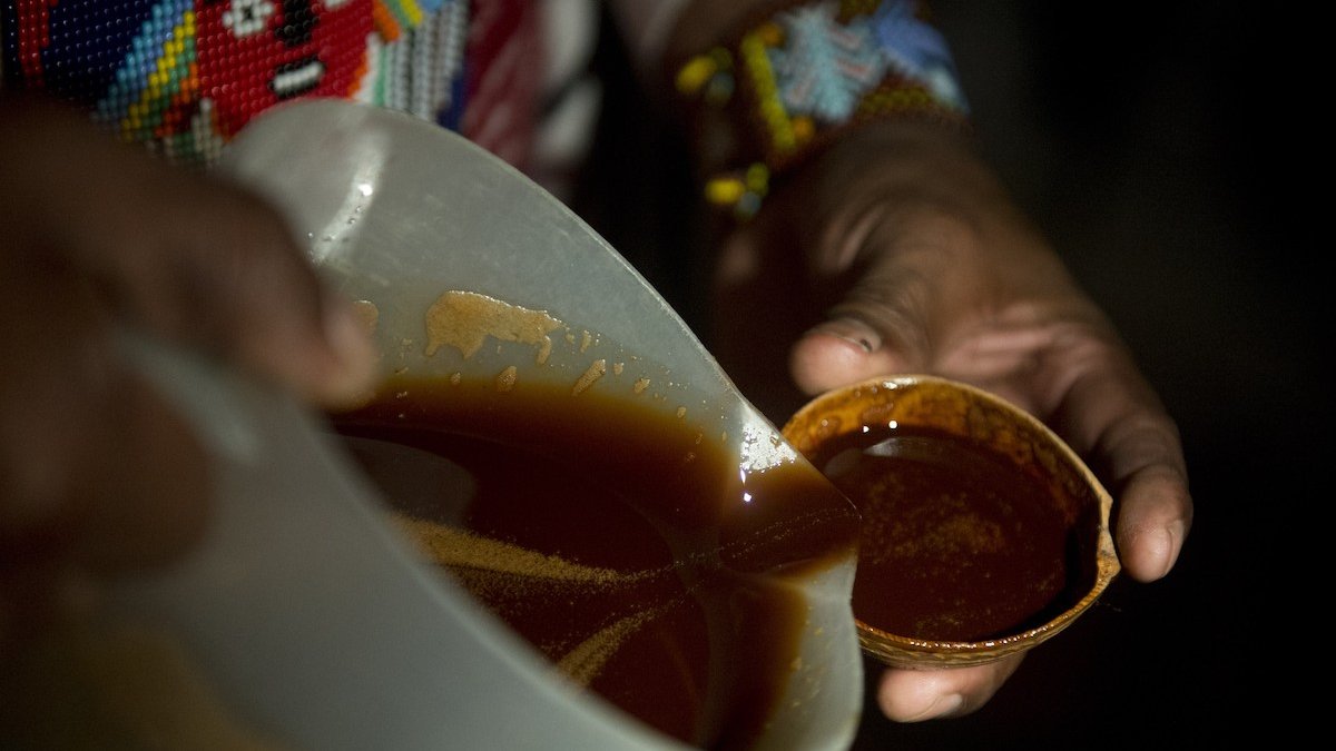 What Is Ayahuasca? Treatments, Legality, Side Effects and More – NBC Connecticut - Vimarsana News