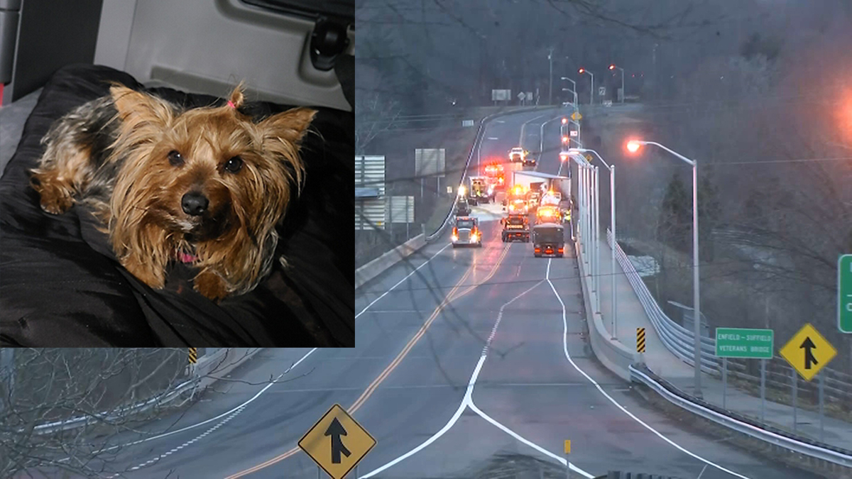 Dog Missing After Serious Crash on Route 190 Bridge Between Suffield