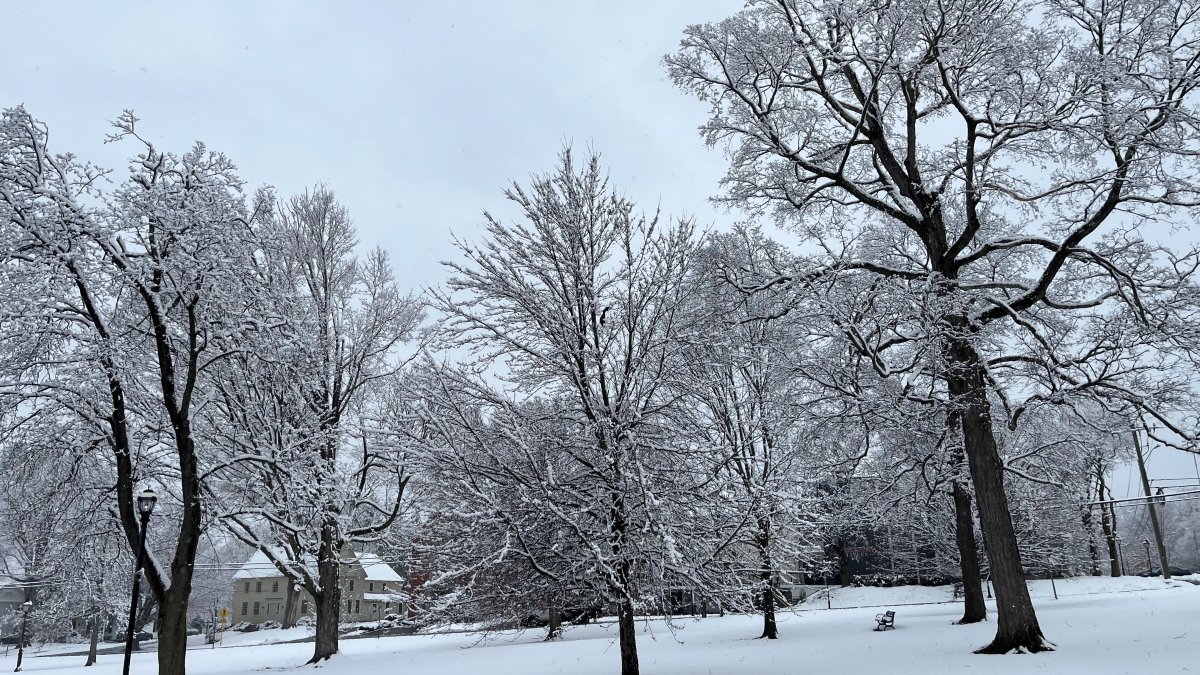 Mostly Cloudy and Windy for the Rest of the Day, Snow and Rain Have ...