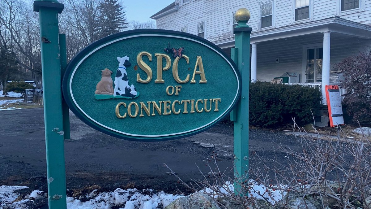 'It Was Really Impressive': Outpouring of Support After Shelter Announces Closure – NBC Connecticut - Vimarsana News