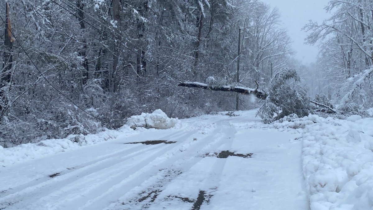 As Storm Begins to Wind Down, Litchfield County Residents Begin Digging Out – NBC Connecticut