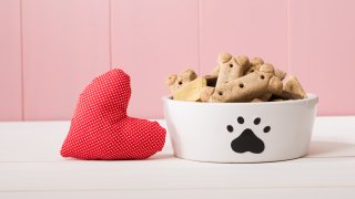 Dog bowl with bones