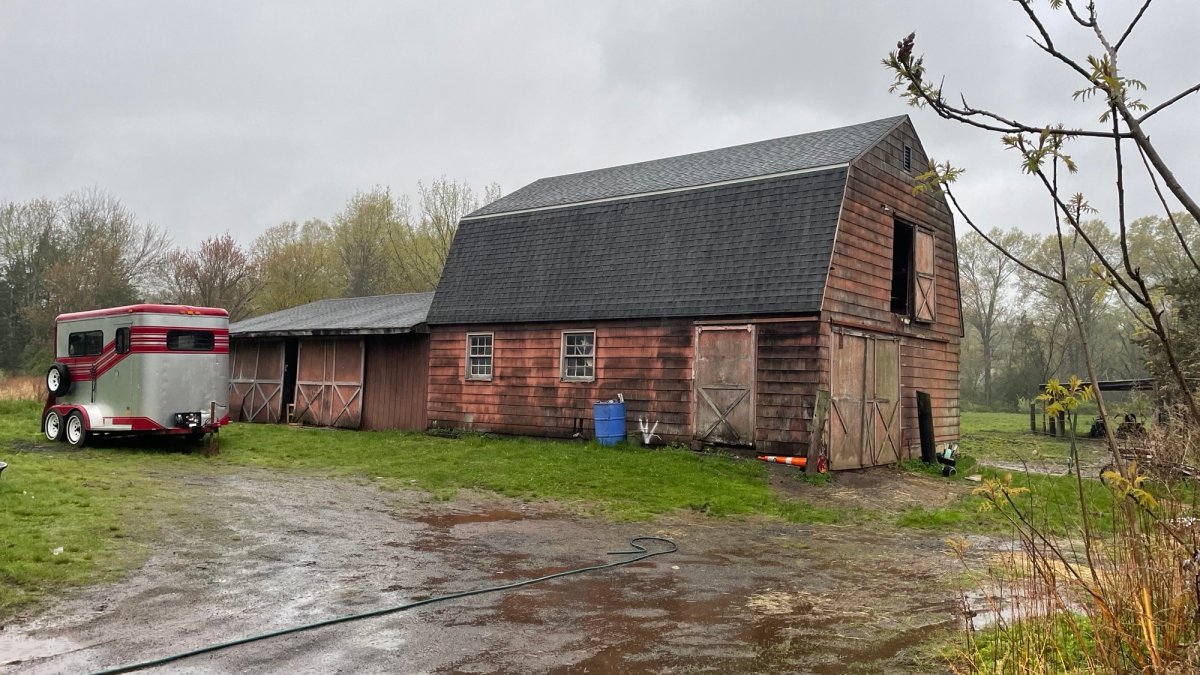 3 Arrested for Animal Cruelty After Investigation Into Condition of