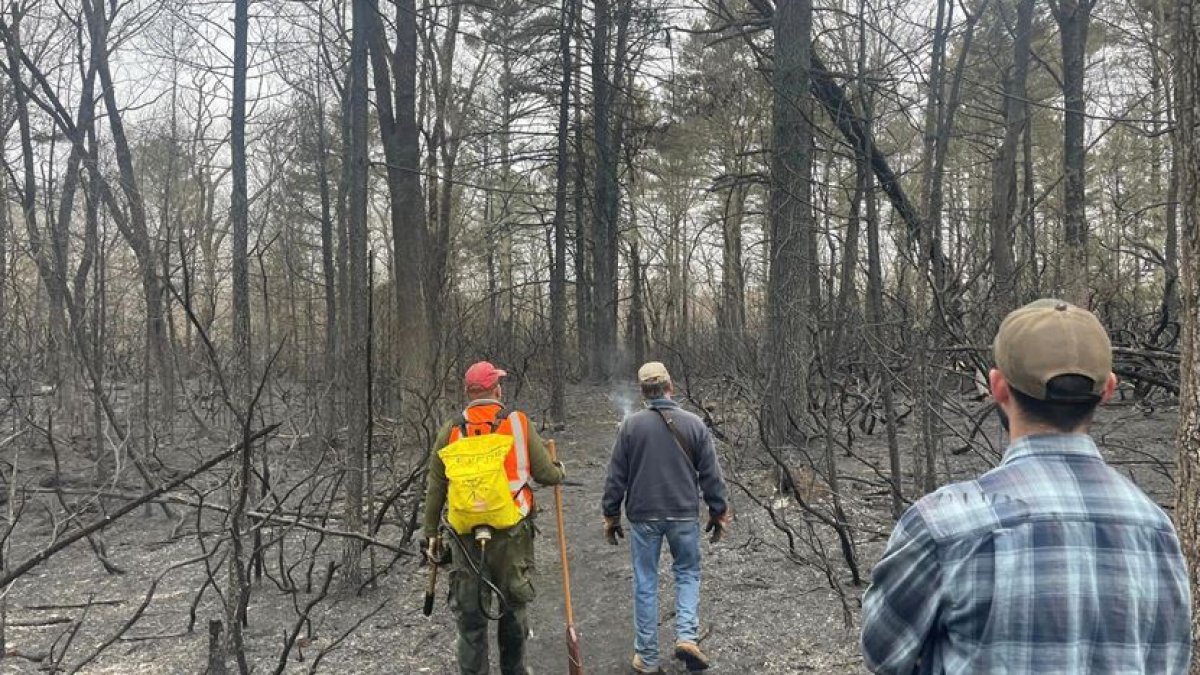 Campsite Possible Source of Massive Rhode Island Brush Fire