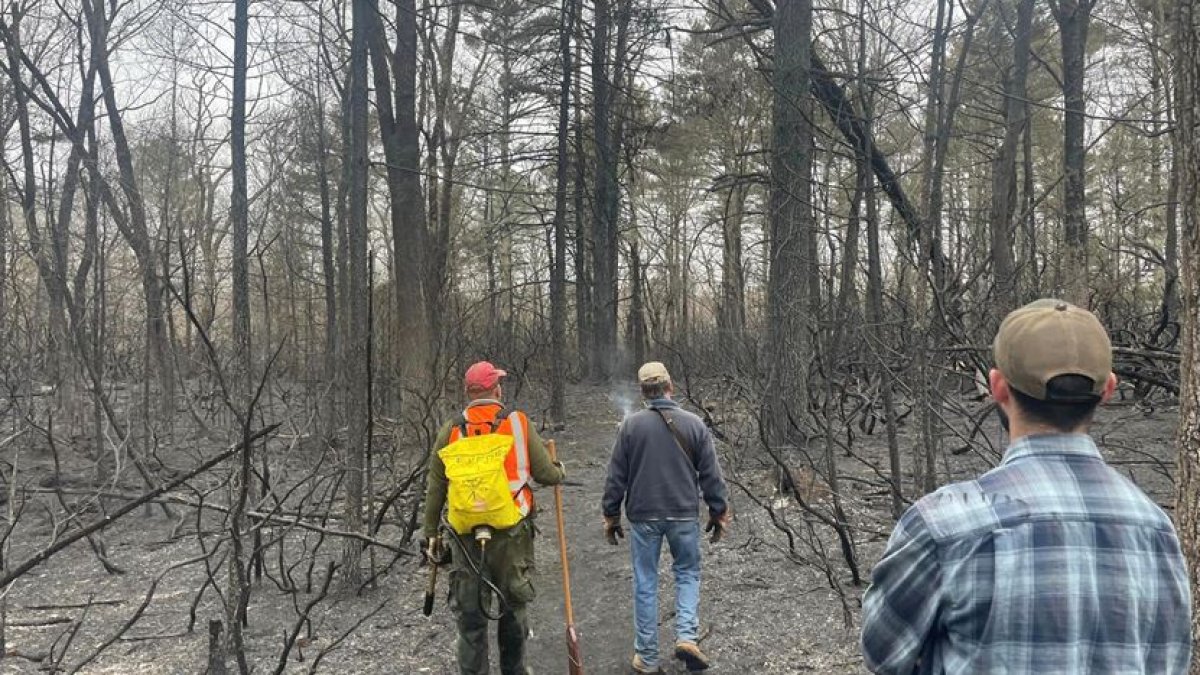 Campsite Possible Source of Massive Rhode Island Brush Fire Campsite Possible Source of Massive Rhode Island Brush Fire