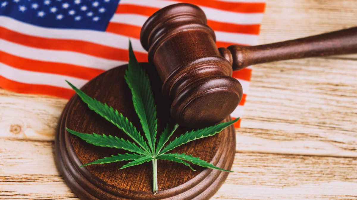 Here Are All the States That Have Legalized Weed in the US – NBC Connecticut - Vimarsana News