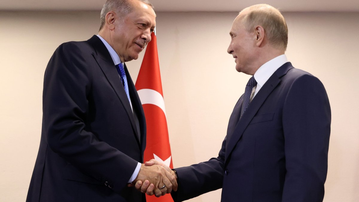 Turkey's Erdogan Touts 'Special Relationship' With Putin, Stands by His Refusal to Impose Sanctions – NBC Connecticut - Vimarsana News