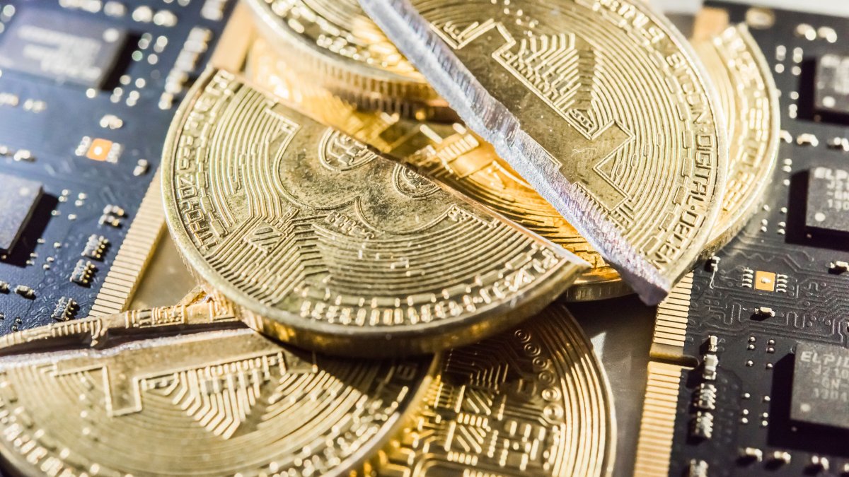 A Husband Hid $500,000 in Bitcoin During a Divorce — and Got Busted by a Crypto Hunter - Vimarsana News