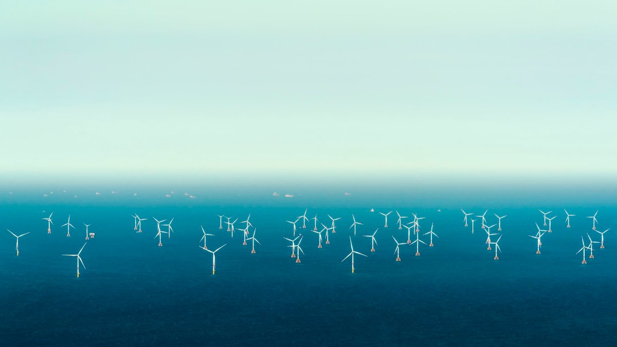 Nederland claimt internationale primeur omdat offshore windparken actief zijn in de Noordzee om trekvogels te beschermen – NBC Connecticut