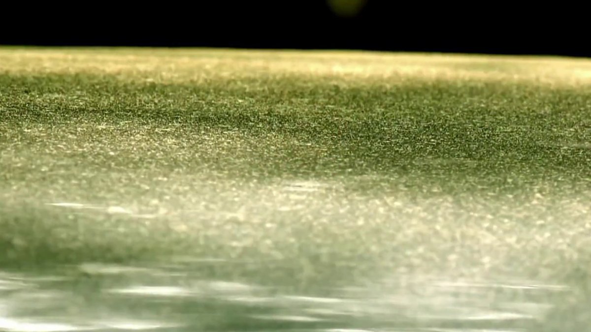 Connecticut’s Allergy Season Is in Full Swing NBC Connecticut