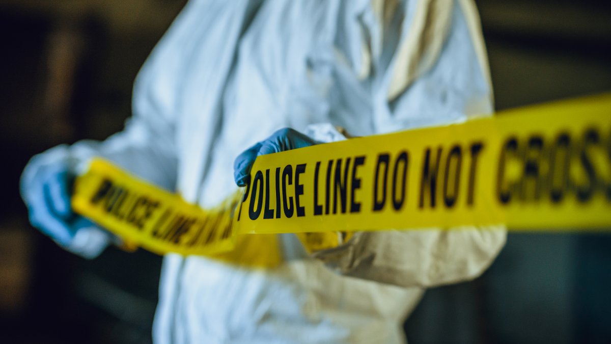 Compton man killed in pit bull attack – NBC Connecticut - Vimarsana News