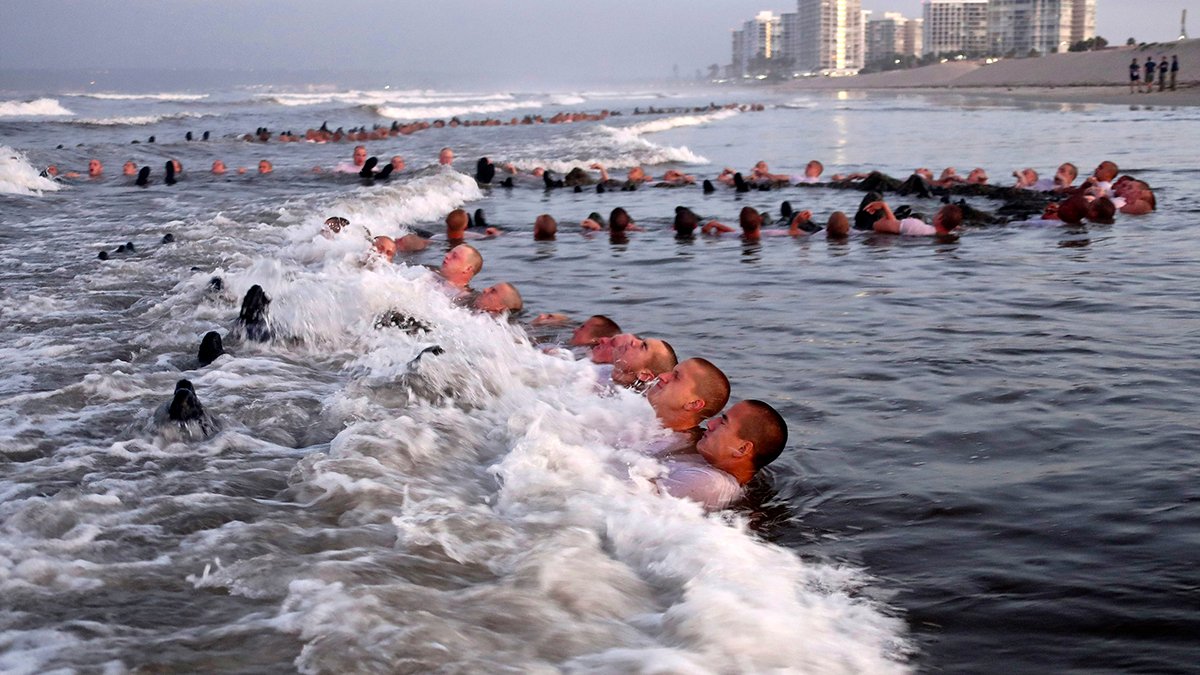 SEALs Training Plagued by Pervasive Problems, Navy Finds – NBC Connecticut - Vimarsana News