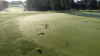 Police Look for Whoever Damaged Golf Course in West Hartford